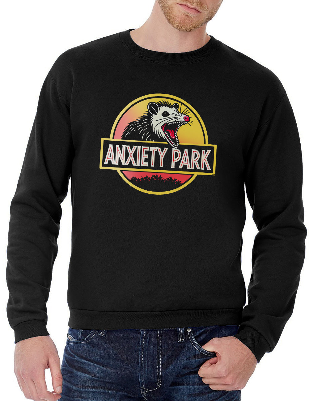 Anxiety Park