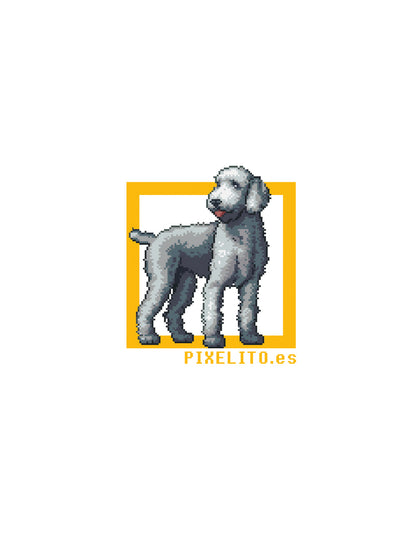 Bedlington Terrier - Azul - 021px