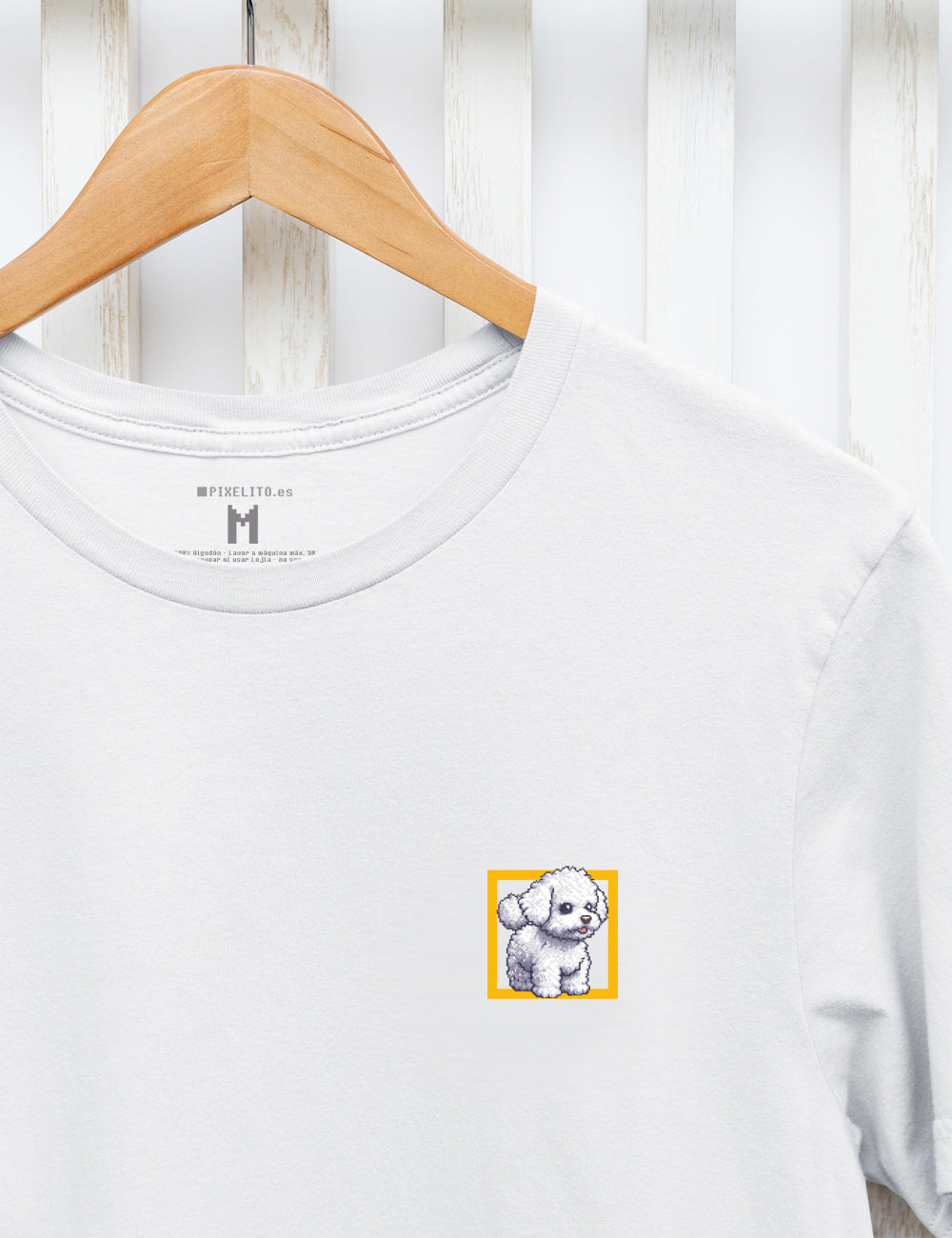 Frisé Bichon - 022px