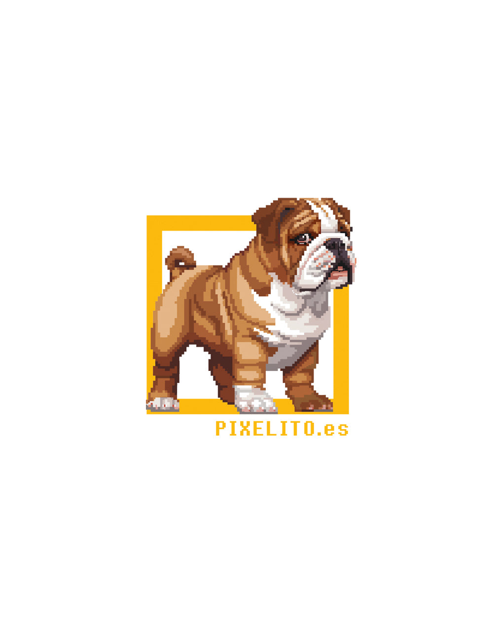 Bulldog inglese - 027px